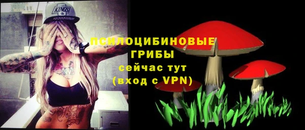 индика Алексеевка