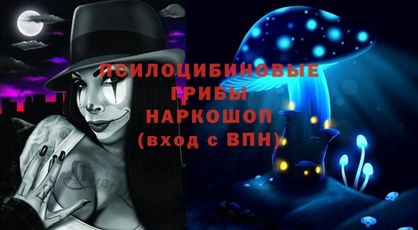 мдпв Алзамай