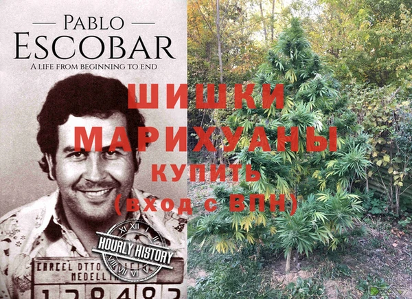 бошки Алексин