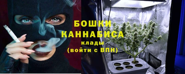 бошки Алексин